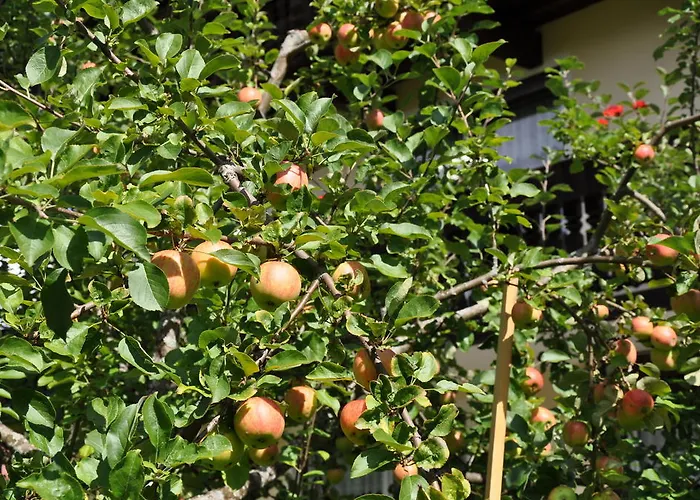 Apartamento Haus Freispitzblick Bach (Tyrol)